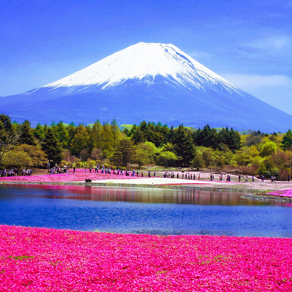 富士山パノラマロープウェイ